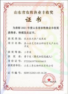 山東省農(nóng)牧漁業(yè)豐收獎(jiǎng)